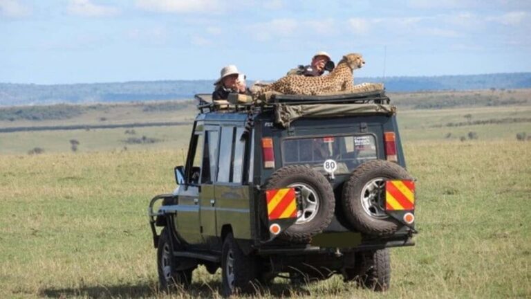 4 Days Masai Mara and Lake Nakuru Lodge - 4X4 Jeep Safari - What Makes This Tour Stand Out