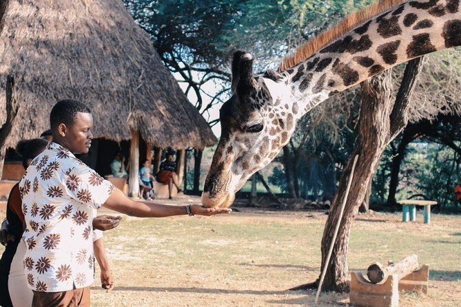 4 Days Masai Mara and Lake Nakuru National Park Private Luxury Safari - What Travelers Can Expect