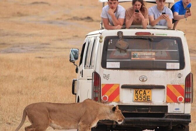4 Days Masai Mara Lake Nakuru Jeep Safari - Why Travelers Love This Safari