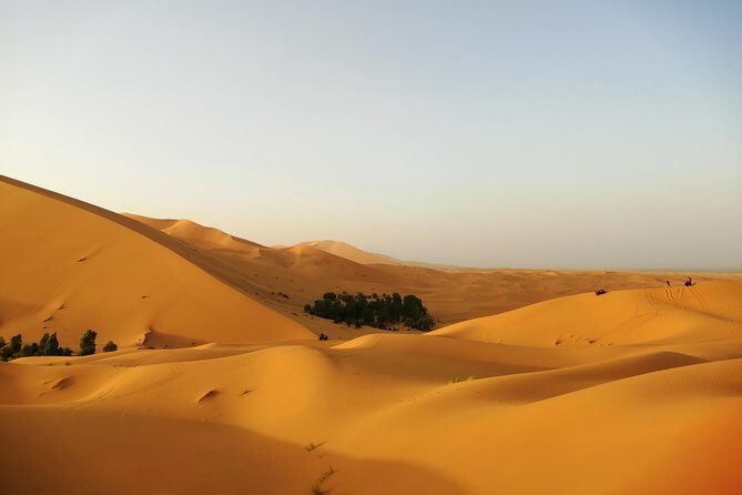4 days Morocco Sahara Tour - Value and Pricing