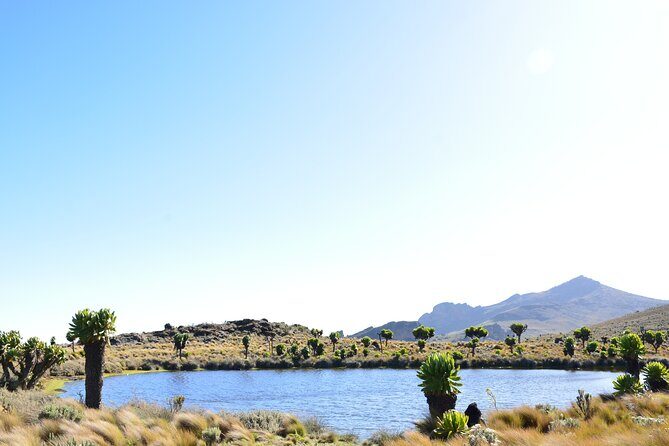 4 Days mount Elgon Trek, 4321m a.s.l - The Sum Up: Is the Mount Elgon Trek Right for You?