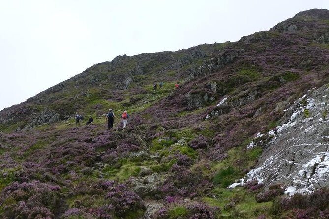 4 Days Mount Kenya - Key Points