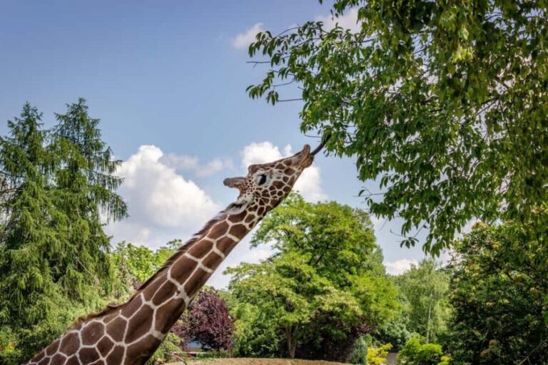 4 Days of Adventure and Wildlife Encounters into the Wild - What’s Included and What’s Not