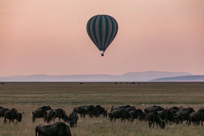 4 Days of Untamed Beauty: An Unforgettable Masai Mara Road Safari - Itinerary Breakdown: What You Can Expect Each Day
