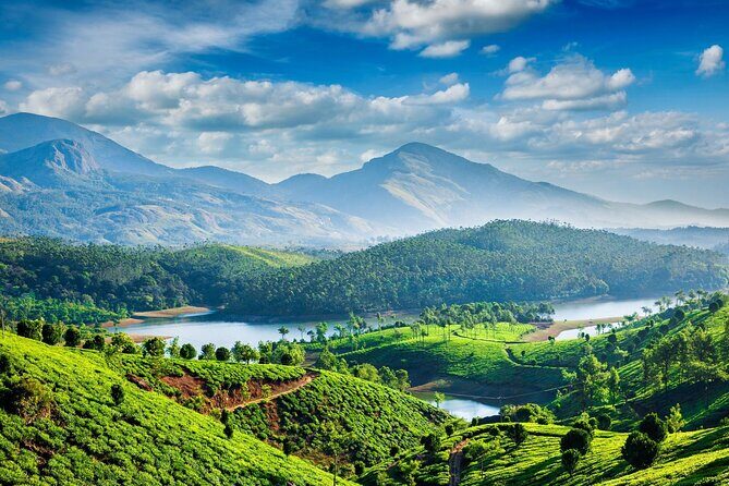 4 Days Private Kerala Tour -Kochi, Munnar, Thekkady with 3* Hotel - Why This Tour Works