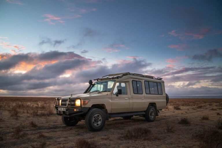 4 Days Private Luxury Safari to Serengeti and Ngorongoro - Practical Tips for Your Safari