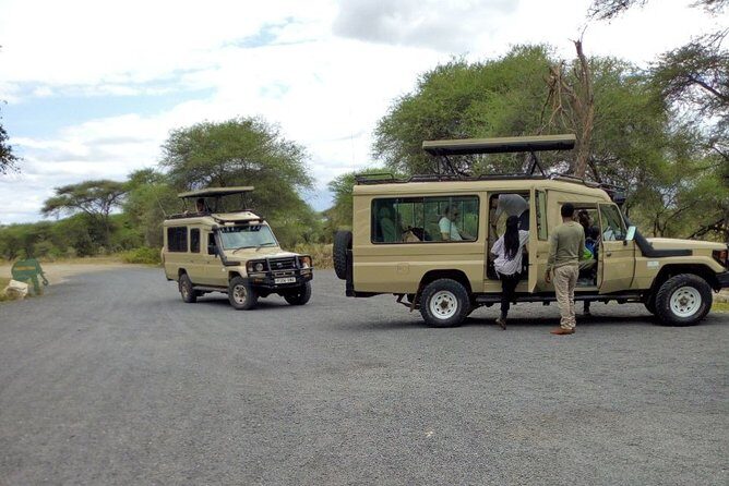4 Days Private Midrange Lodge Safari to Serengeti & Ngorongoro - Final Thoughts