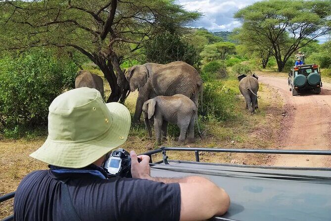 4-Days Private Midrange, Tarangire Ngorongoro, Manyara & Materuni - Practical Details and What to Expect