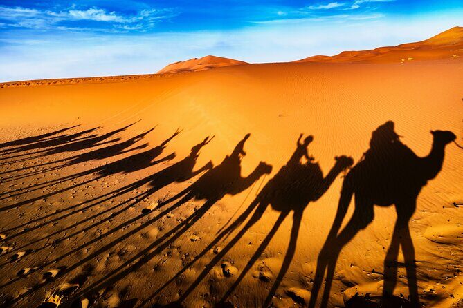 4 Days Sahara Desert tours from Marrakech to Fes - What Travelers Love