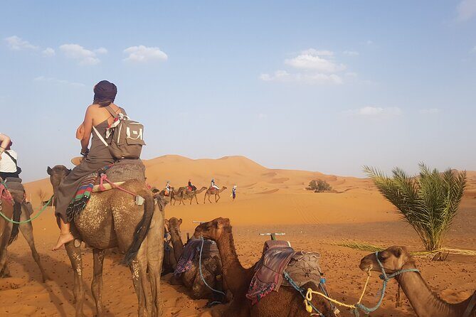 4-Days Sahara Desert Trip From Marrakech end at Marrakech - Who Should Consider This Tour?