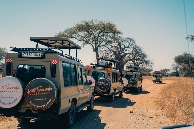 4 Days Tanzania Budget Safari - Practical Details and What You Can Expect