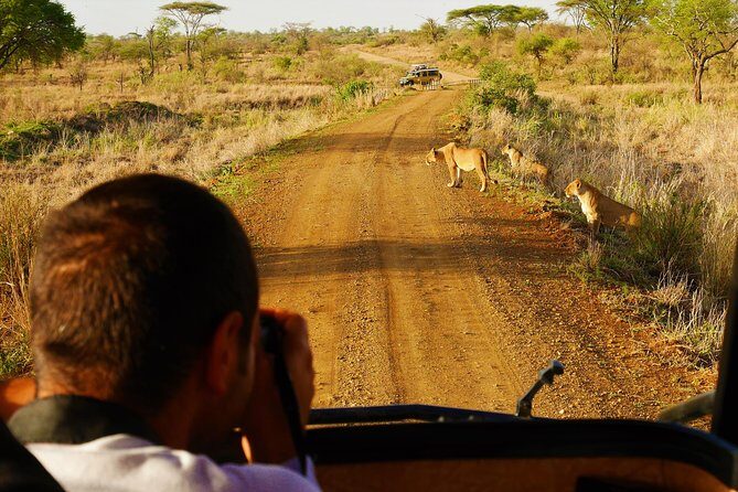 4 Days Tanzania Camping Safari - The Guides and Service: Why It Matters