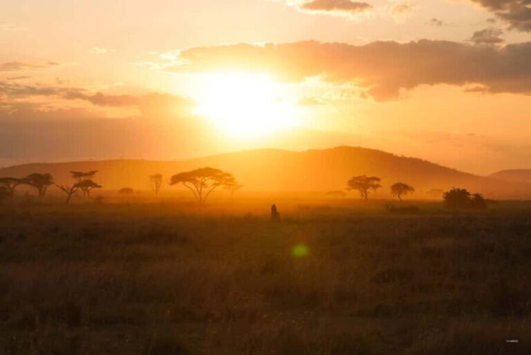 4 Days Tarangire, Serengeti, Ngorongoro Mid-range Safari - What’s Included and What to Consider