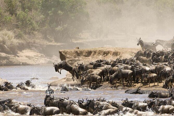 4 Days Tour Landcruiser in Masai Mara and Lake Nakuru - Itinerary Breakdown: What to Expect