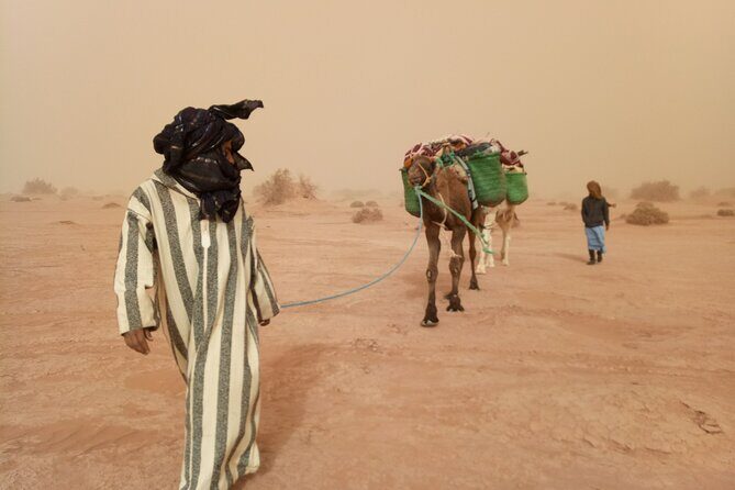 4 days trek - The legs of camels - What’s Included and What’s Not