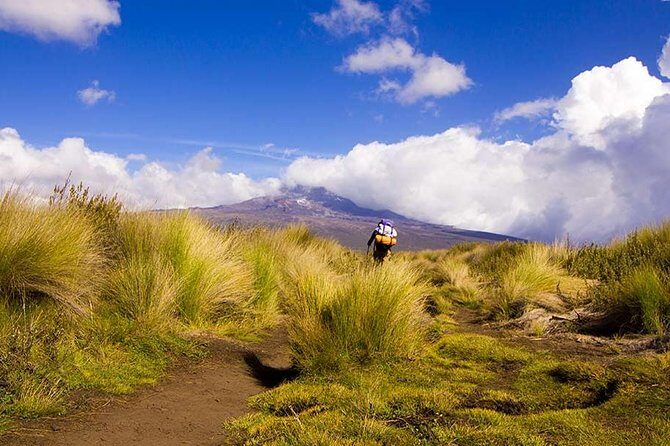 4 Days Trekking in Mount Kenya - Who Should Consider This Tour?