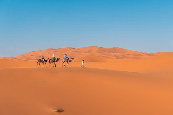 4 days trip MARRAKESH to FEZ with 2 nights in MERZOUGA DESERT - Authentic Experiences and Practical Considerations