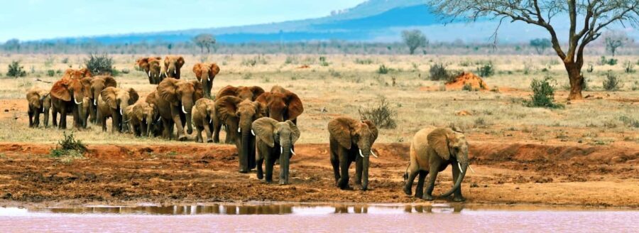 4 Days Tsavo East/West & Amboseli National Park From Mombasa - Practical Considerations and Traveler Tips