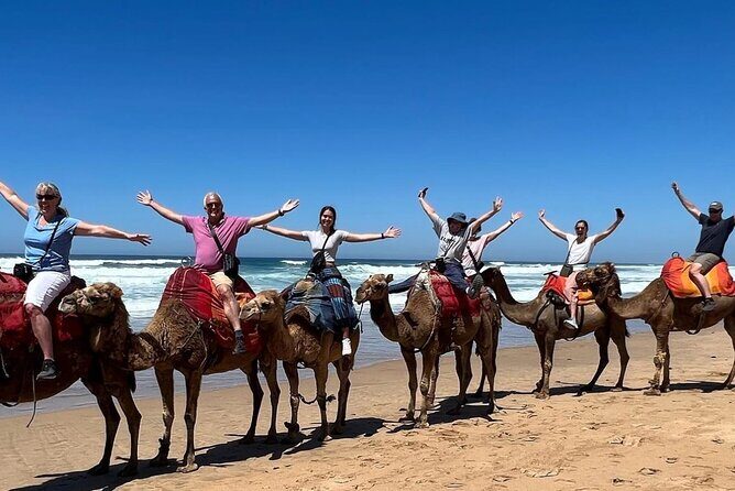 4-hour Private Tour of Tangier - The Pros and Cons: What Travelers Say