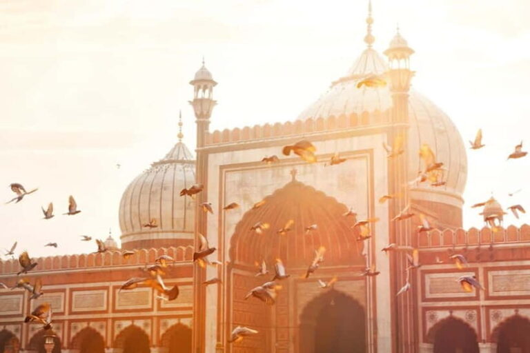 4-hours Half Day Old Delhi Walking Tour and Rickshaw Ride - Additional Details That Matter