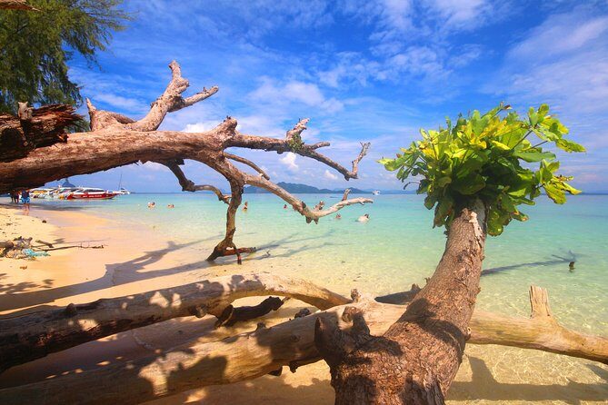 4-Island Wonders: Emerald Cave&Koh Kradan Day Tour by Opal Travel - Analyzing the Value