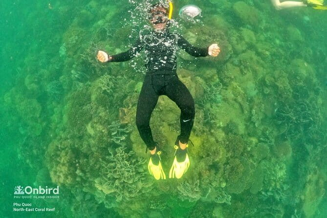 4 Islands & 2 Reefs - Discovery Snorkeling & Relaxing (MAX 12) - Final Thoughts: Is This Tour Right for You?