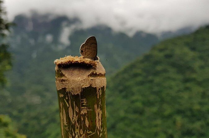 4D/3N Glimpse of Meghalaya - Who Should Consider This Tour?