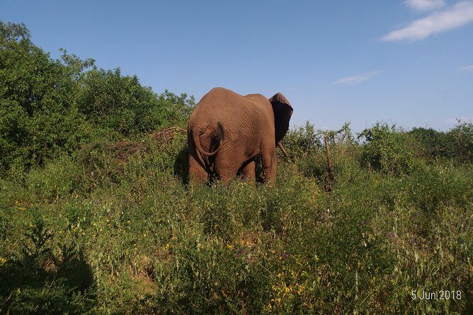 4day's Safari - Transportation & Group Size