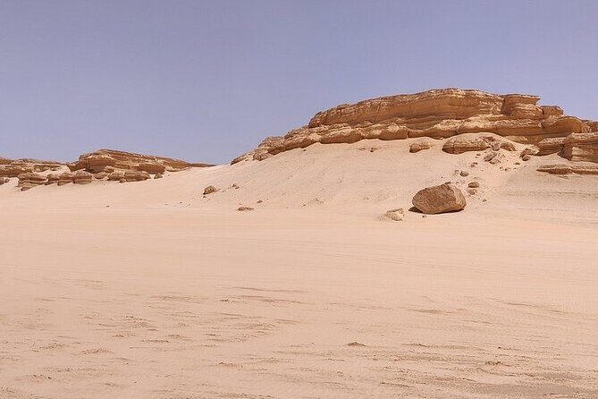 4x4 Desert Safari, Sandsurf, and Camel Ride from cairo with Lunch - What’s Included and What’s Not