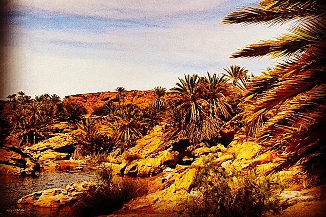 4x4 excursion to Safsaf Wild Oasis with traditional Berber picnic - The Sum Up