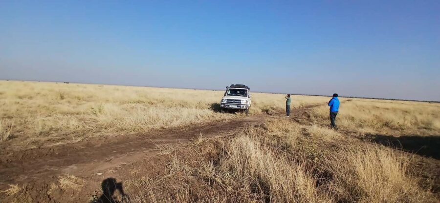 5-Day Awash & Danakil Depression Safari Tour