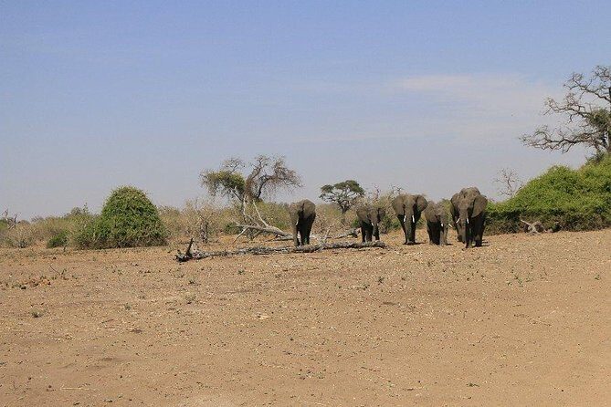 5 Day Chobe National Park Accommodated Tour Safari - FAQs
