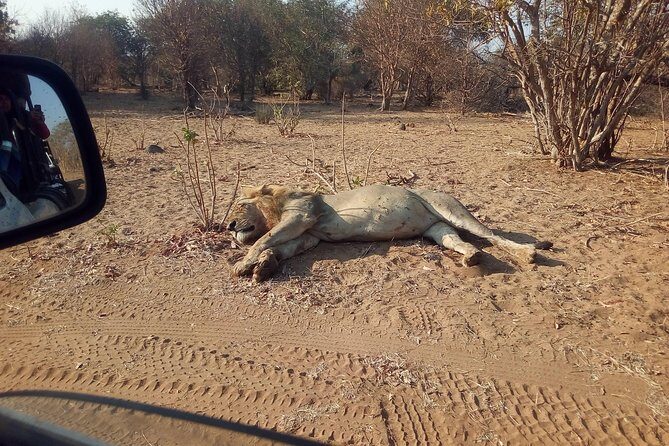 5-Day Explore Zimbabwe, Zambia and Botswana - The Value of the Tour