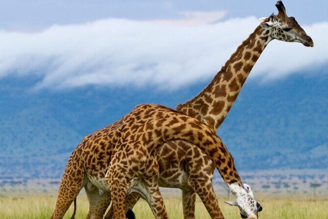 5 Day Garden Route Small Group Tour Fr CapeTown - Departs Mondays - The Value Proposition
