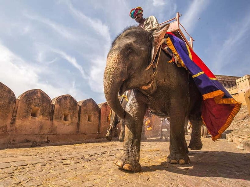 5-Day Golden Triangle Tour: Delhi, Agra & Jaipur - How the Experience Feels
