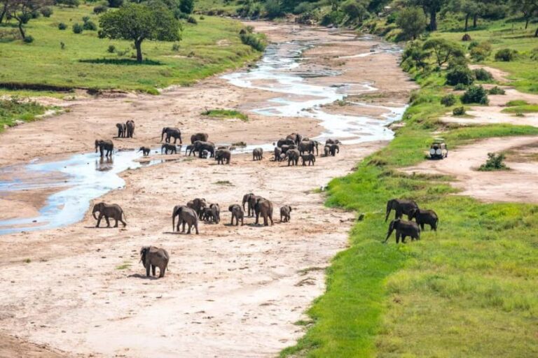 5-Day Group Safari Tarangire, Serengeti, Ngorongoro, Manyara - What’s Included and What’s Not