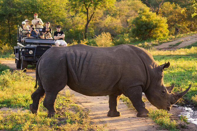 5 day-Kruger National Park Safari from Kruger Int. Airport (KMI), Panorama Route - Practical Considerations