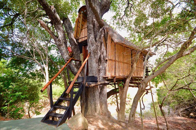 5 Day Lodge and Treehouse Kruger National Park Safari - Final Thoughts