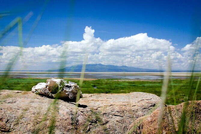 5-Day Majestic Tanzania Safari - High End All Inclusive - What Travelers Love About This Tour
