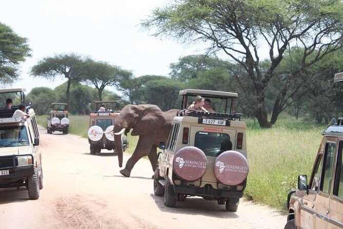 5 Day Mid range Tanzania Safari - Who Would Love This Safari?
