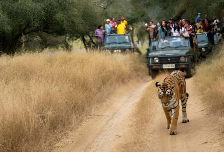5-Day Private Golden Triangle & Tiger Safari Tour from Delhi - Day 2: Agra’s Treasures and a Scenic Drive to Ranthambore