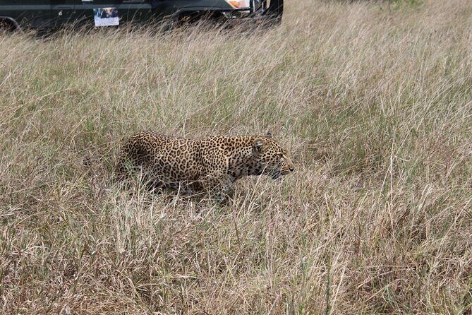 5-Day Private Tour in Kenya's Best Game Parks - Practical Details and Tips
