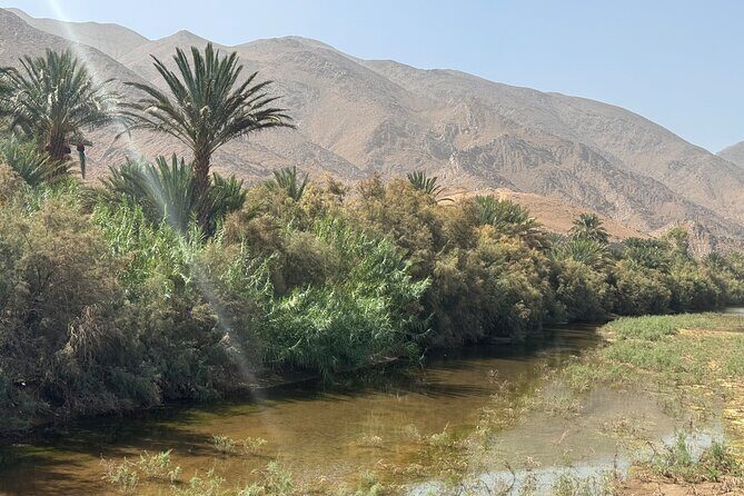 5-Day Private Tour to Sahara and ErgChebbi from Marrakech - Day 1: Arrival in Marrakech