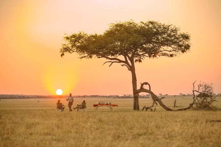 5-Day Safari Adventure in Tanzania, Journey Through Africa - Exploring the Itinerary in Detail