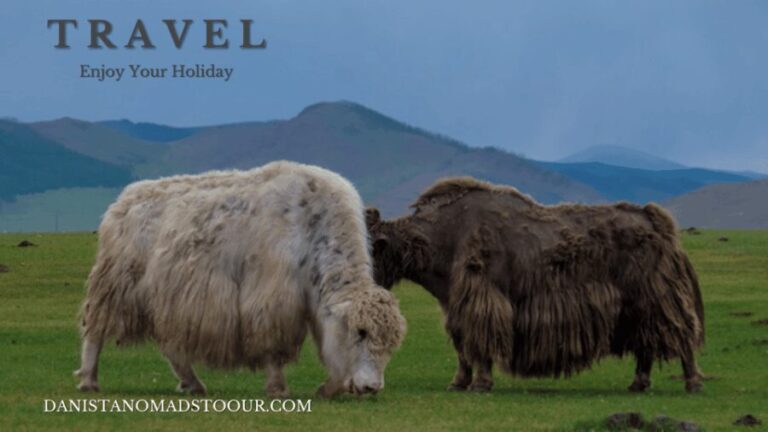 5 day /Terelj, Chinggis Khaan statue, Central Mongolia - The Highlights: What You’ll Love About This Tour