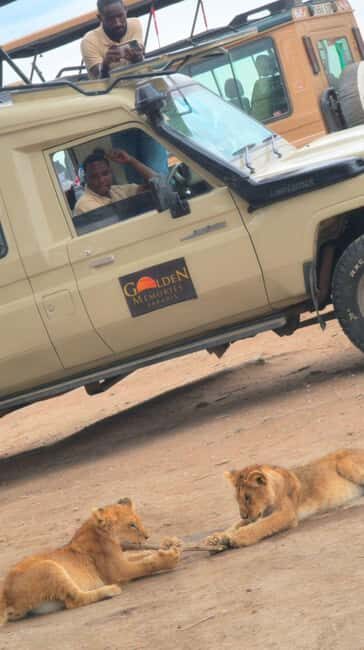 5 DAY TOP SHELF SAFARI - FAQs