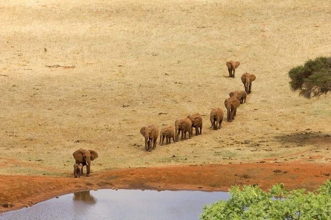 5 Day Tsavo [East & West] Amboseli & Taita Wildlife Park Safari Expedition - A Detailed Look at the Itinerary