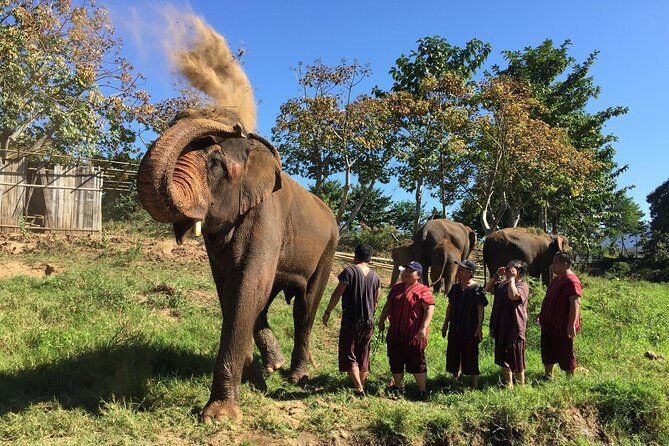 5 Day Tuk Tuk Adventure in Chiang Mai - with driver - Day 1: Mae Wang National Park