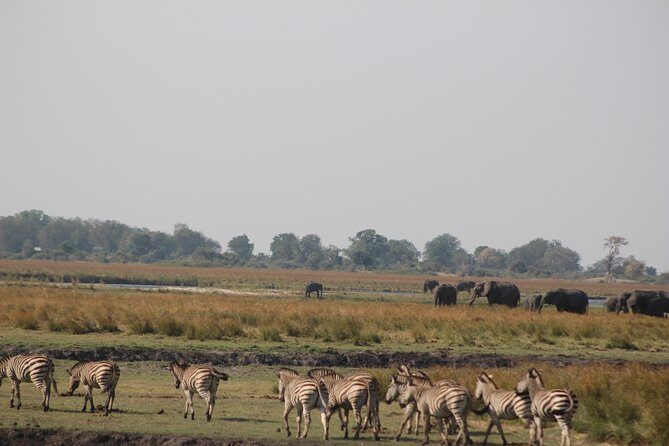 5-DAY Victoria Falls and Chobe National Park - Why This Tour Offers Good Value