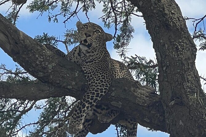 5-Day Visit Zimbabwe, Zambia, Botswana & Namibia Island - Day 2: Exploring Victoria Falls from Both Sides